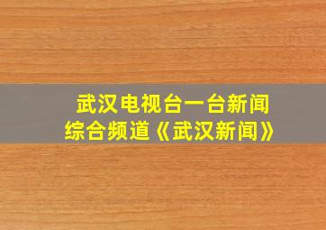 武汉电视台一台新闻综合频道《武汉新闻》