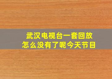 武汉电视台一套回放怎么没有了呢今天节目