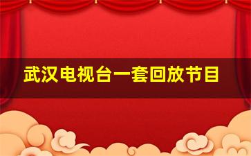 武汉电视台一套回放节目