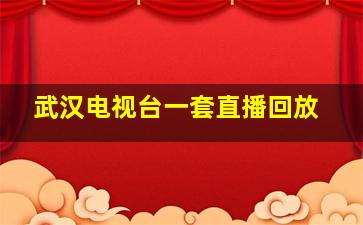 武汉电视台一套直播回放