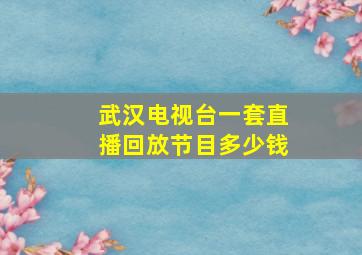 武汉电视台一套直播回放节目多少钱