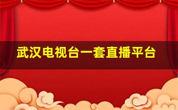 武汉电视台一套直播平台