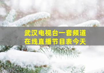 武汉电视台一套频道在线直播节目表今天