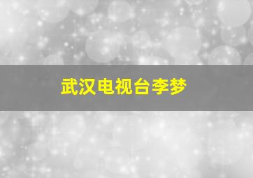 武汉电视台李梦