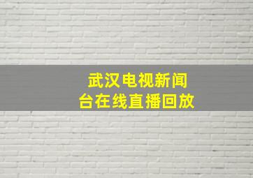 武汉电视新闻台在线直播回放