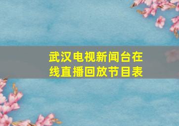 武汉电视新闻台在线直播回放节目表