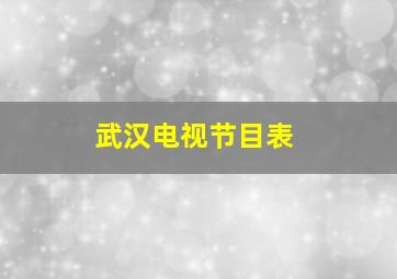 武汉电视节目表