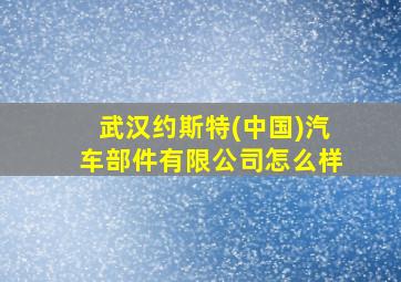 武汉约斯特(中国)汽车部件有限公司怎么样