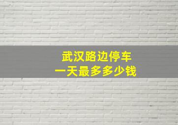 武汉路边停车一天最多多少钱