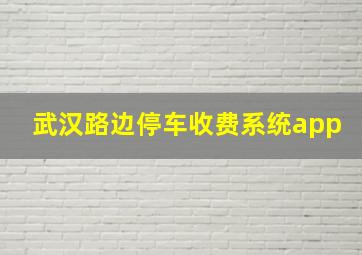 武汉路边停车收费系统app