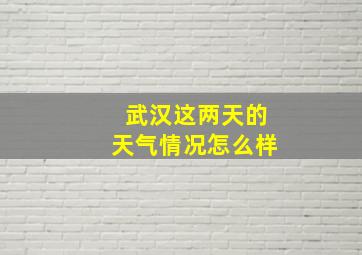 武汉这两天的天气情况怎么样