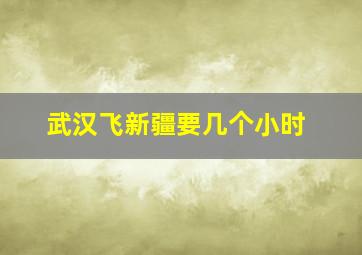 武汉飞新疆要几个小时