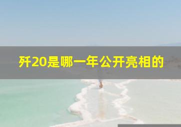 歼20是哪一年公开亮相的