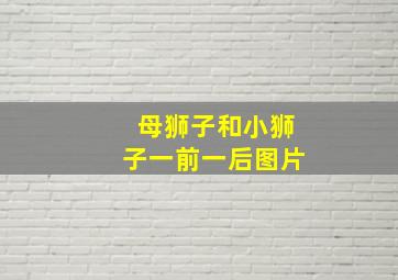 母狮子和小狮子一前一后图片