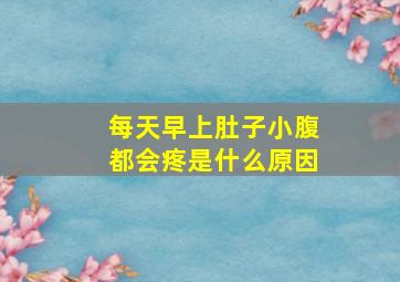 每天早上肚子小腹都会疼是什么原因