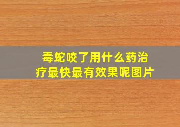 毒蛇咬了用什么药治疗最快最有效果呢图片