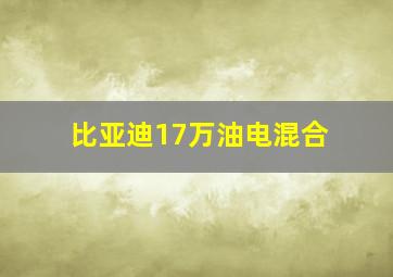 比亚迪17万油电混合