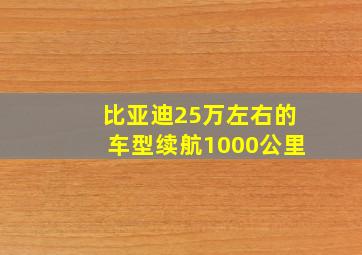 比亚迪25万左右的车型续航1000公里