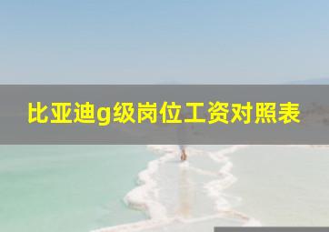 比亚迪g级岗位工资对照表