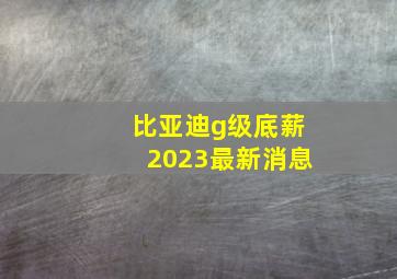 比亚迪g级底薪2023最新消息