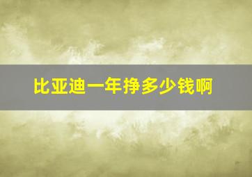 比亚迪一年挣多少钱啊