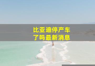 比亚迪停产车了吗最新消息