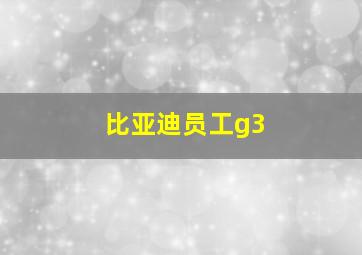 比亚迪员工g3