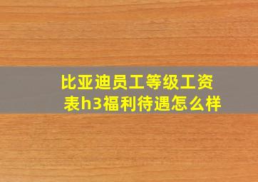 比亚迪员工等级工资表h3福利待遇怎么样