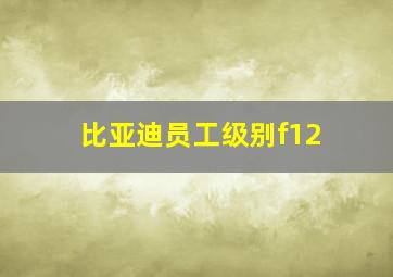 比亚迪员工级别f12