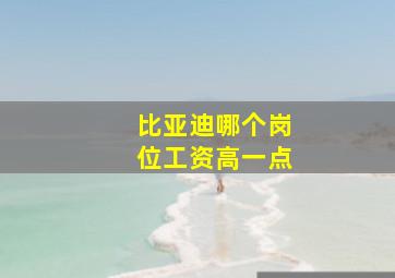 比亚迪哪个岗位工资高一点