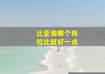 比亚迪哪个岗位比较好一点