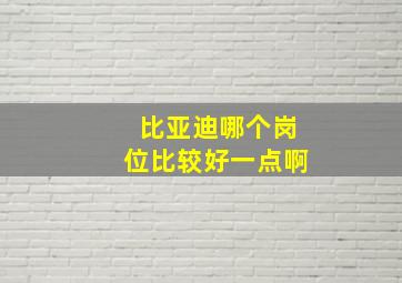 比亚迪哪个岗位比较好一点啊