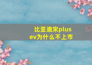 比亚迪宋plusev为什么不上市