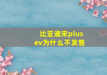 比亚迪宋plusev为什么不发售