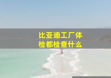 比亚迪工厂体检都检查什么