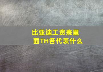 比亚迪工资表里面TH各代表什么