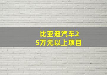 比亚迪汽车25万元以上项目