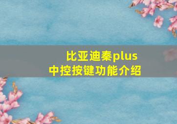 比亚迪秦plus中控按键功能介绍