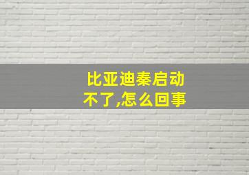 比亚迪秦启动不了,怎么回事