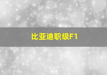 比亚迪职级F1