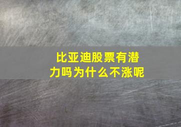 比亚迪股票有潜力吗为什么不涨呢