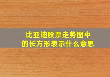 比亚迪股票走势图中的长方形表示什么意思