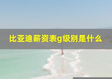 比亚迪薪资表g级别是什么