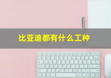 比亚迪都有什么工种