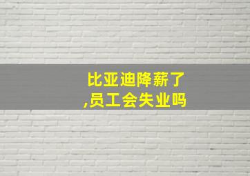 比亚迪降薪了,员工会失业吗