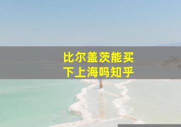 比尔盖茨能买下上海吗知乎