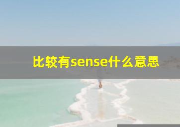 比较有sense什么意思