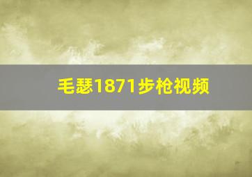 毛瑟1871步枪视频