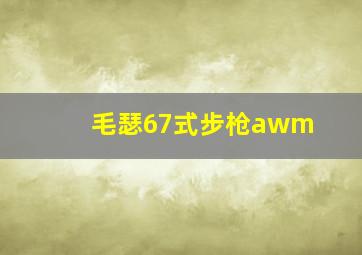 毛瑟67式步枪awm