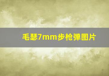 毛瑟7mm步枪弹图片